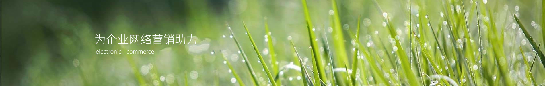 ݳԴɸҵ޹˾